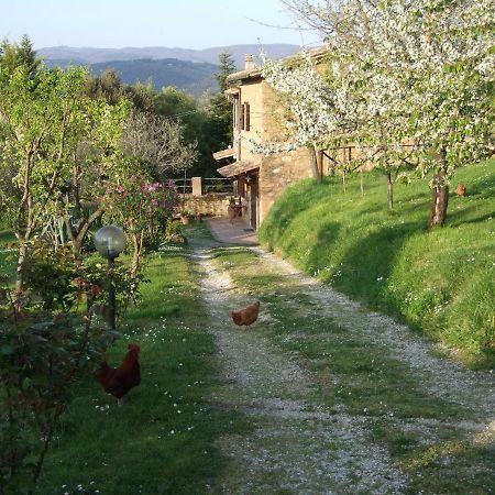 Penzion Podere La Vigna Locazione Turistica Orvieto Exteriér fotografie