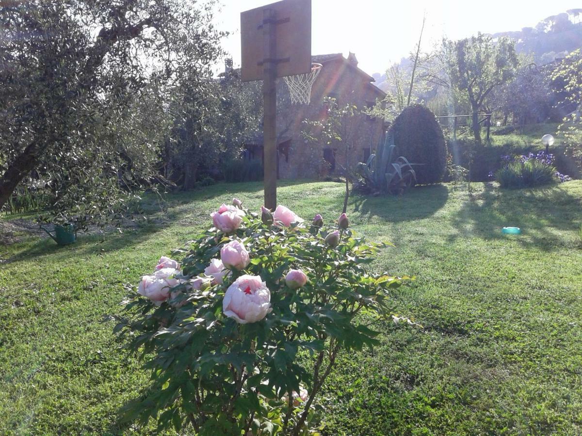 Penzion Podere La Vigna Locazione Turistica Orvieto Exteriér fotografie