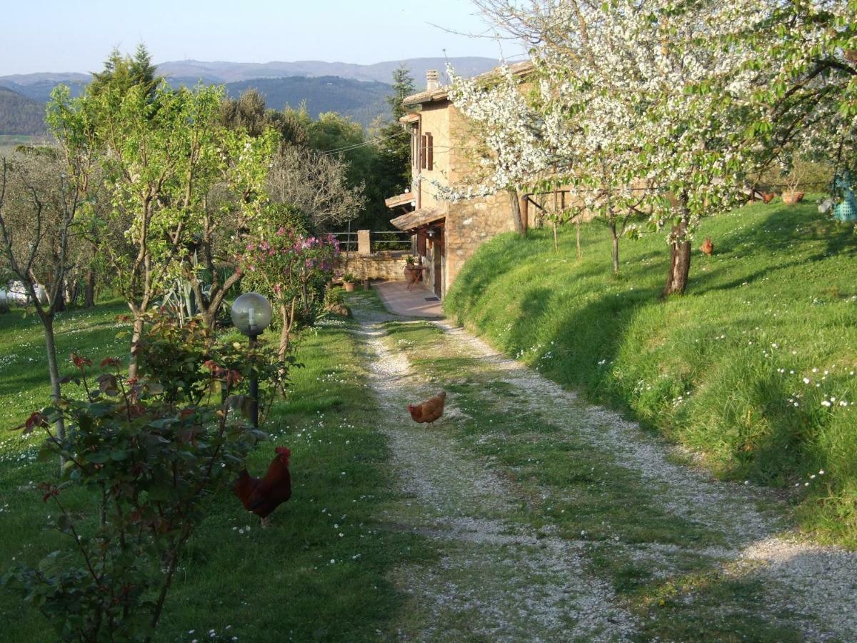 Penzion Podere La Vigna Locazione Turistica Orvieto Exteriér fotografie