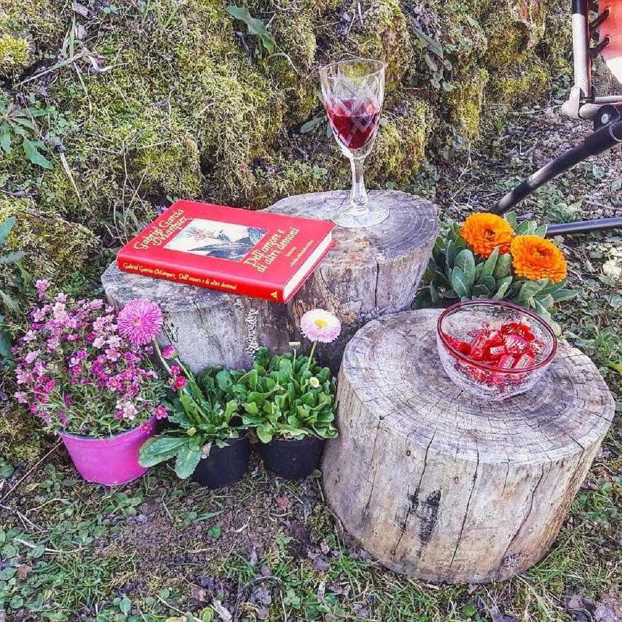 Penzion Podere La Vigna Locazione Turistica Orvieto Exteriér fotografie